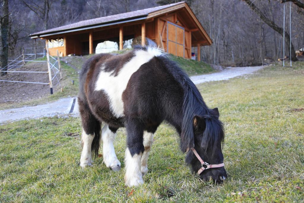 Pensjonat Agritur La Polentera Storo Zewnętrze zdjęcie
