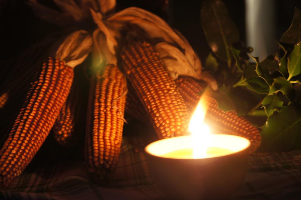 Pensjonat Agritur La Polentera Storo Zewnętrze zdjęcie